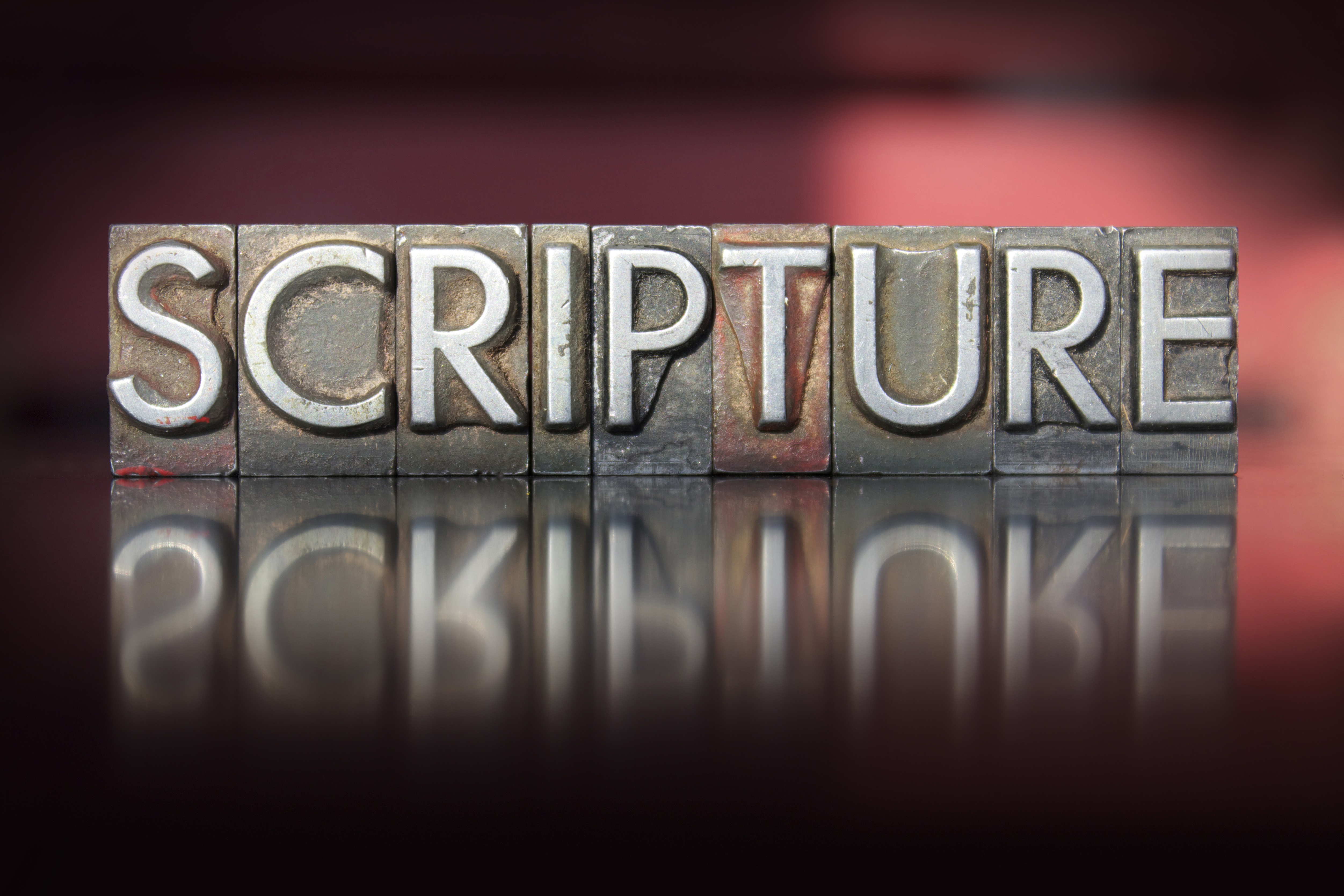 God's Word at Work and on Display