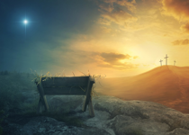 Your Place Beside the Manger