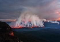 Australia’s Fires: Caused by Bad Forestry and Arson, Not Global Warming