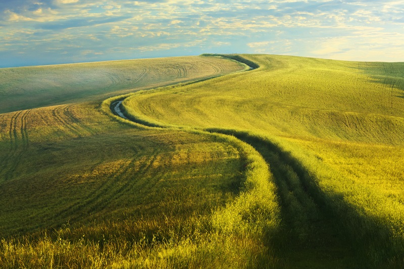 Following God's Lead by Following His Will