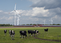 “Clean, Renewable” Energy Is Neither