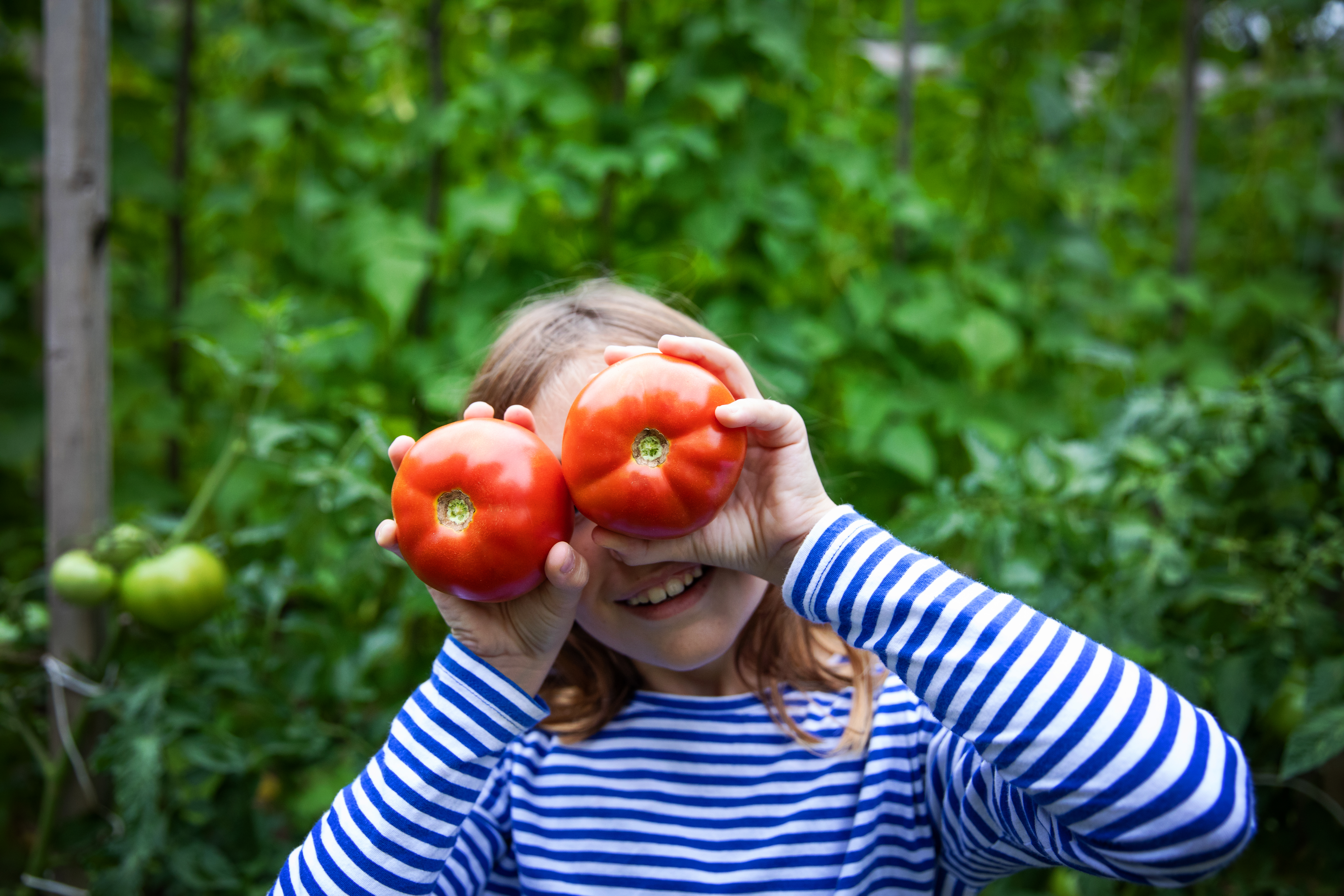 Victory Garden and Other Flumageddon Family Projects