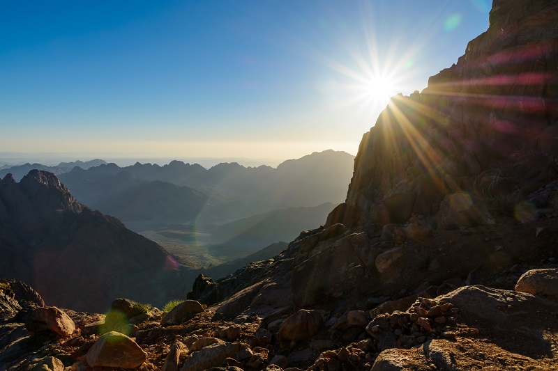 Disruption of God's Creation Project