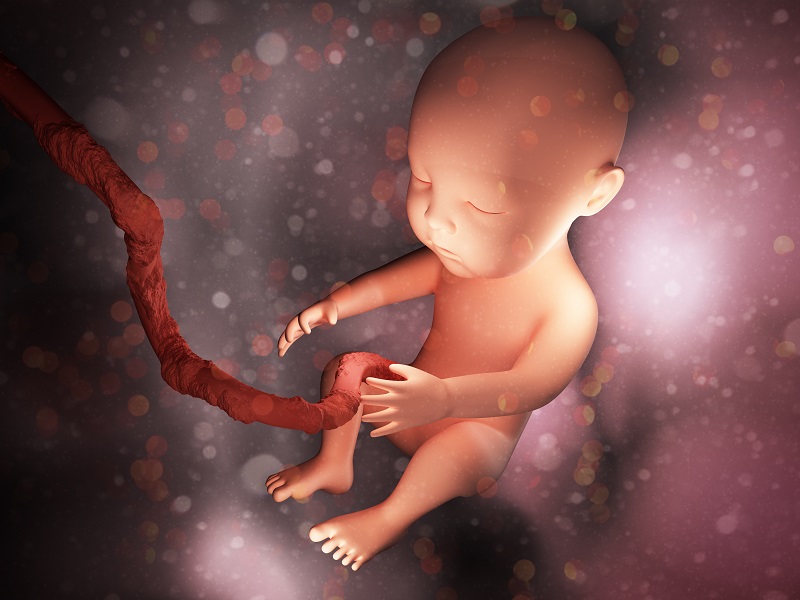 The Bible, Life, and Abortion