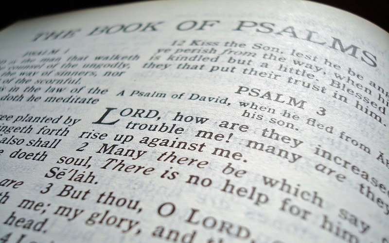 The Book of Psalms