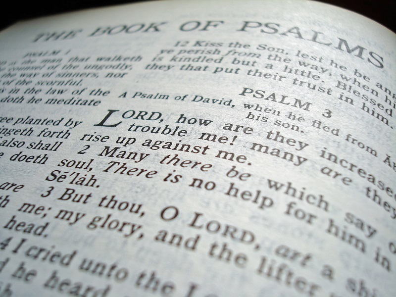 The Book of Psalms