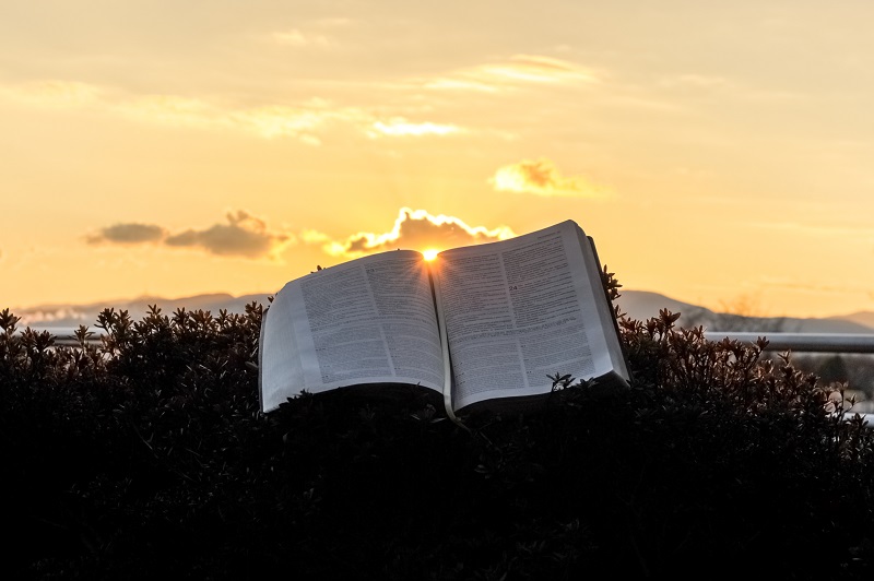 The Bible: Autobiography of God