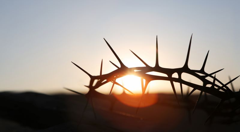 God's Riches At Christ's Expense