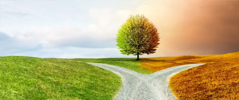 Which Path Shall We Take?