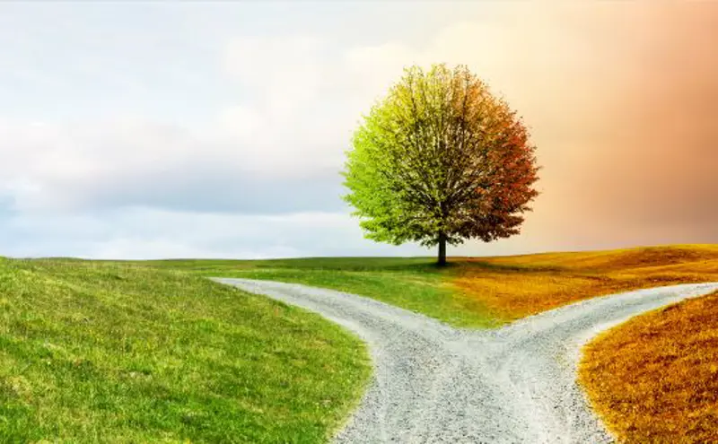 Which Path Shall We Take?