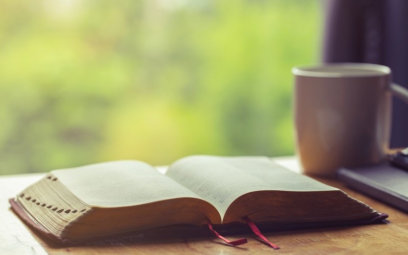 Small Steps Daily Devotions for Nov. 21 - 27