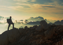 2020 Wilderness Survival Guide