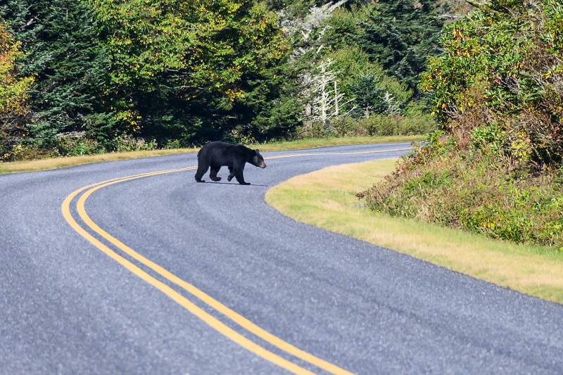 Around the Bend