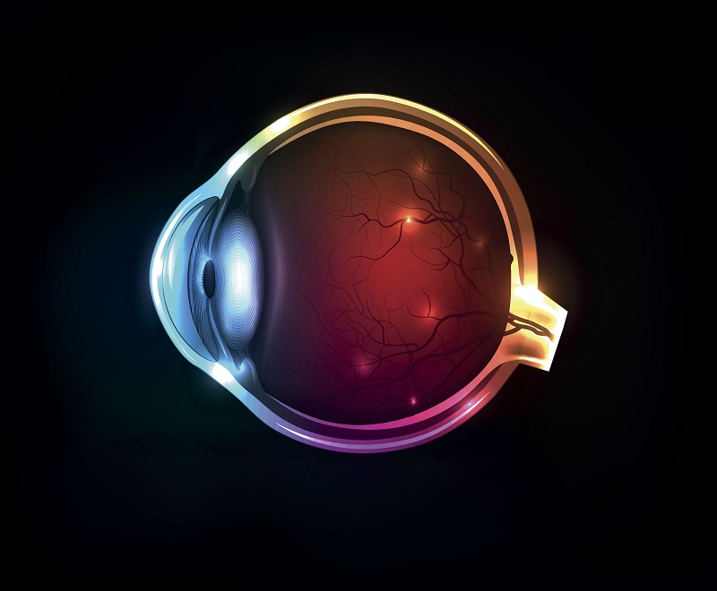 An Eye for Evidence