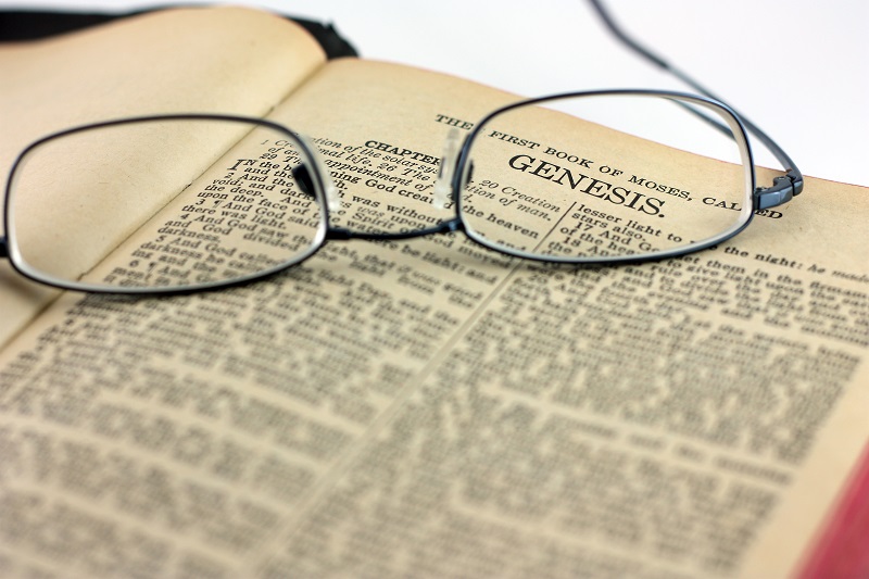 Genesis: Introduction to the Book of Answers