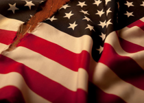 The Flag Under Attack