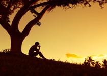Repentant or Remorseful?
