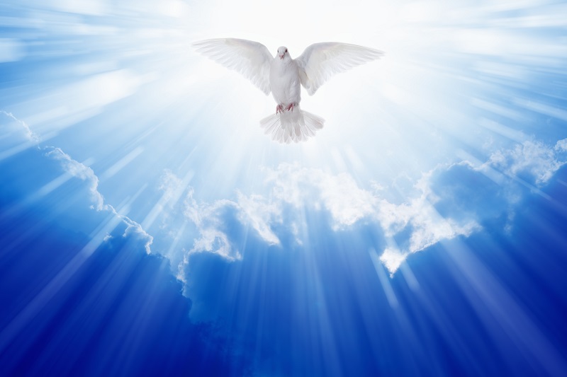 Jesus's Baptism and the Holy Spirit