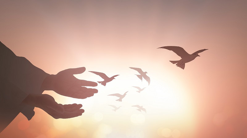 Worship and the Revolution of Righteousness