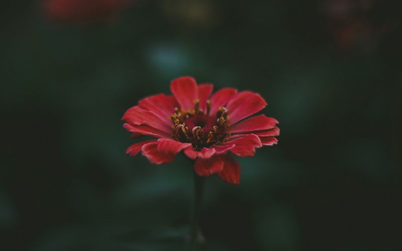 5 Signs of Spiritual Growth