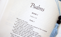 Biblical Counsel for the Year Ahead (Part 2)