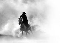 The trial of a horse thief