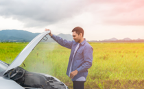 The Good Samaritan on Highway 461