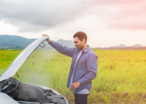 The Good Samaritan on Highway 461