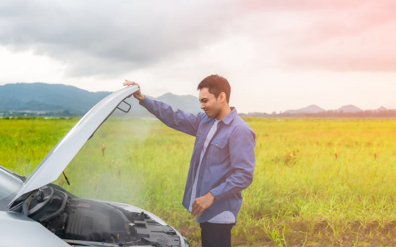 The Good Samaritan on Highway 461