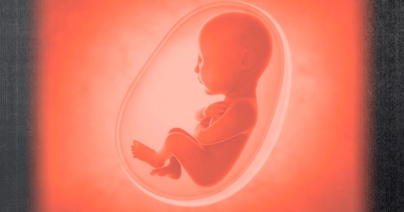 Death Culture in Senate Threatens the Unborn