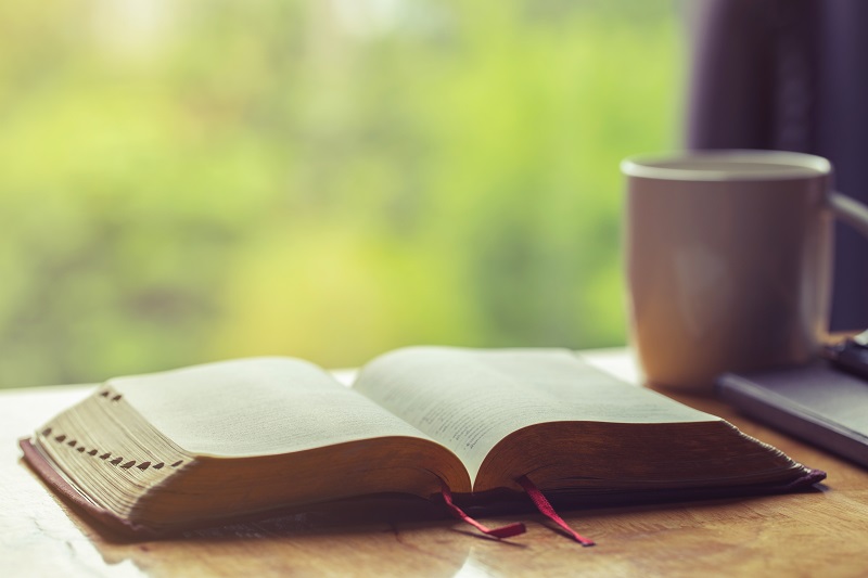 AFA.net - Small Steps Daily Devotions for April 18 - Vimarsana News