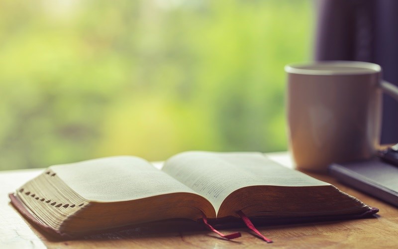 AFA.net - Small Steps Daily Devotions for May 9 -15 - Vimarsana News