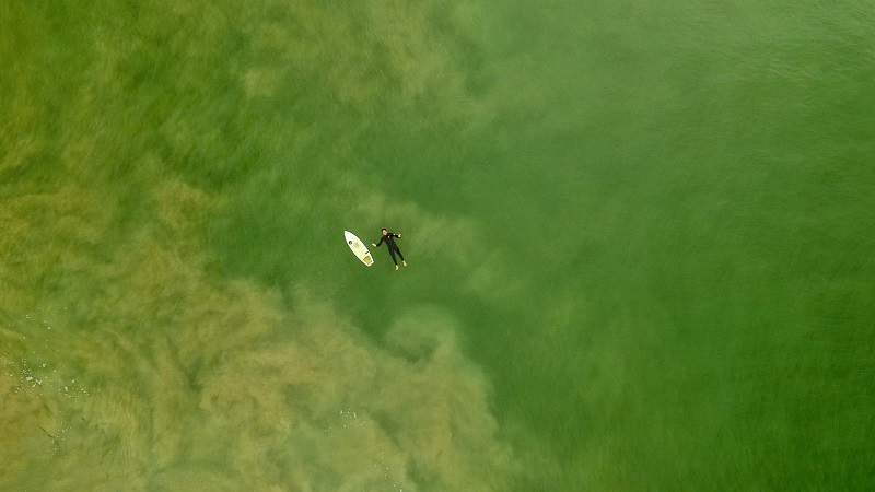 How to Stay Afloat in a Sea of Distractions