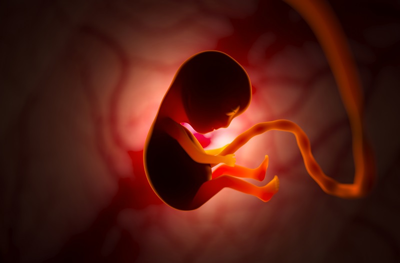 Should Abortion Be Permitted Under Any Circumstance?