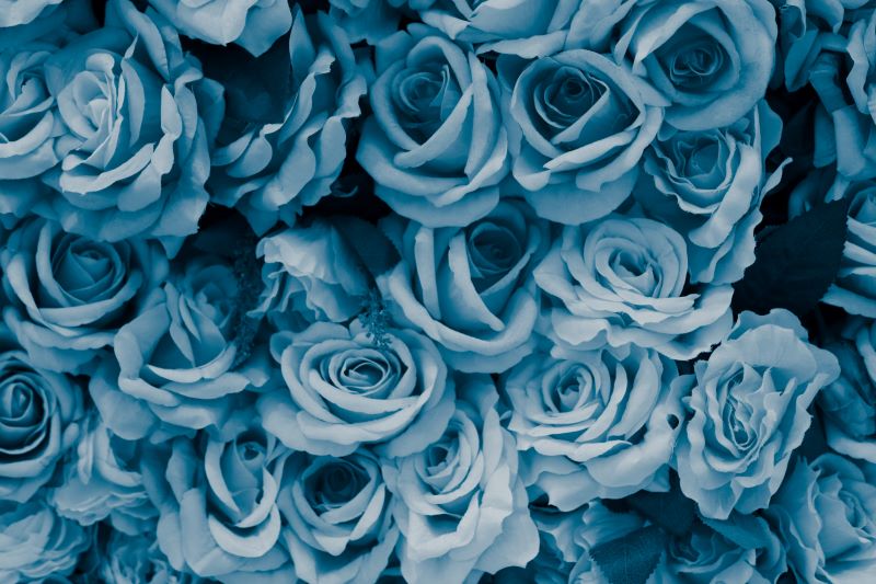 Have a Blessed Mother's Day!