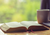 Small Steps Daily Devotions August 8 – 14