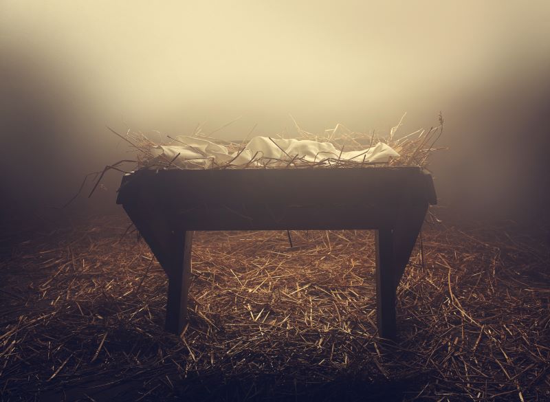 The Ultimate Christmas Miracle