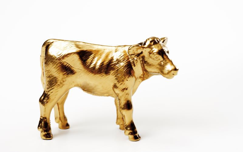 The Hidden Golden Calf