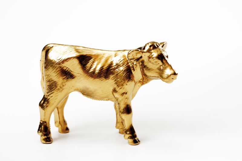 The Hidden Golden Calf