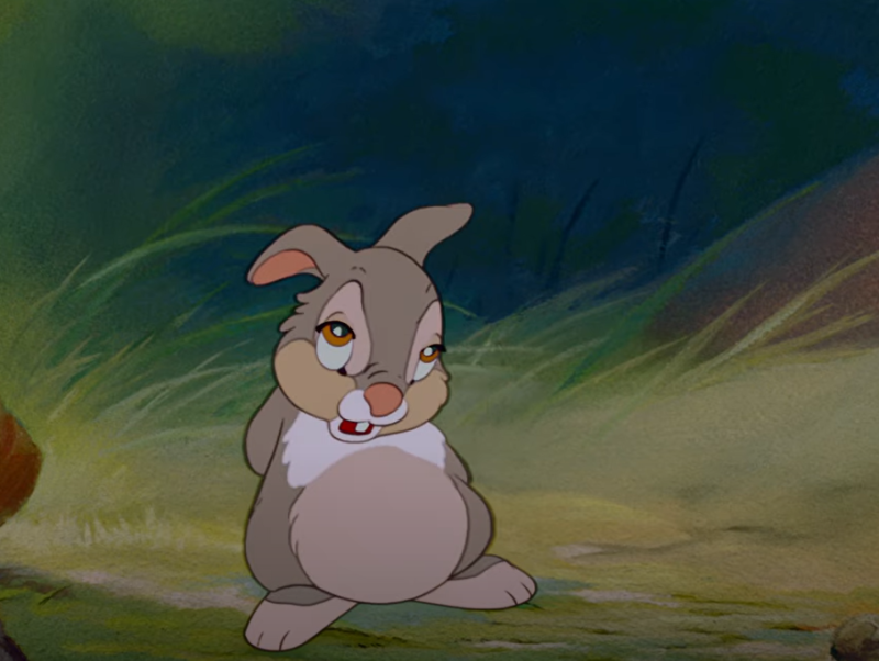 Wisdom from a Cartoon Rabbit
