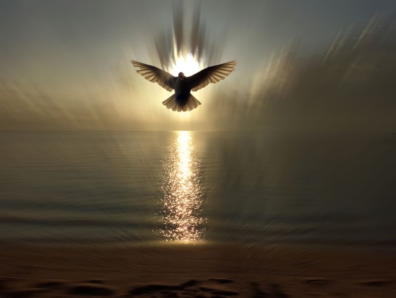 One Word Sums Up God's Desire for You
