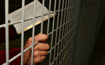 Remembering the Persecuted