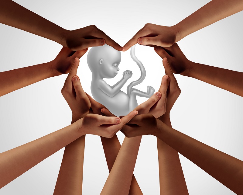 Roe v. Wade: What Now?
