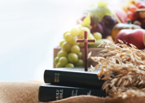 Reading the Bible and Human Flourishing