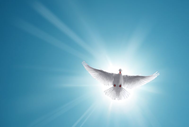 Jesus, the Christian, and the Holy Spirit