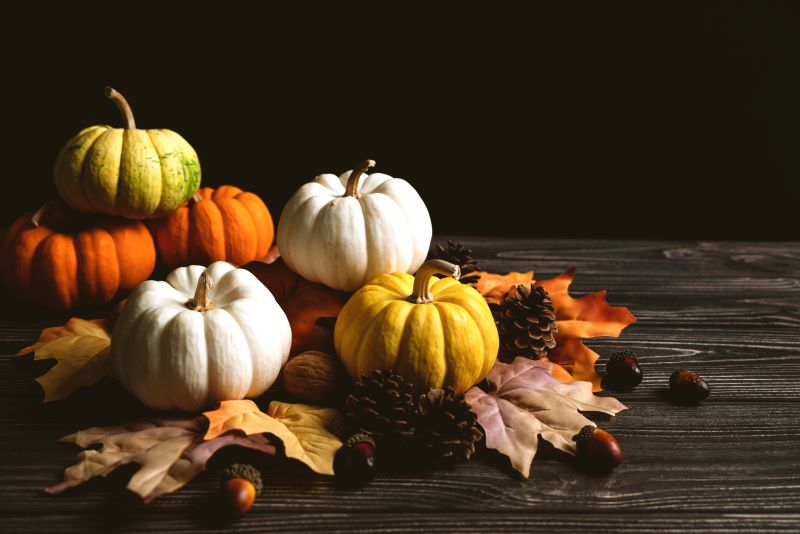 A Time for Thanksgiving
