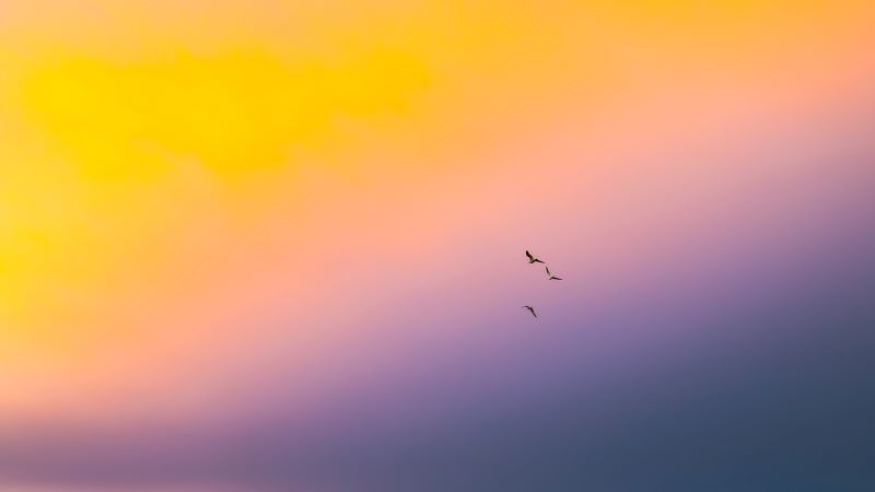 Living in the Reality of the Unseen