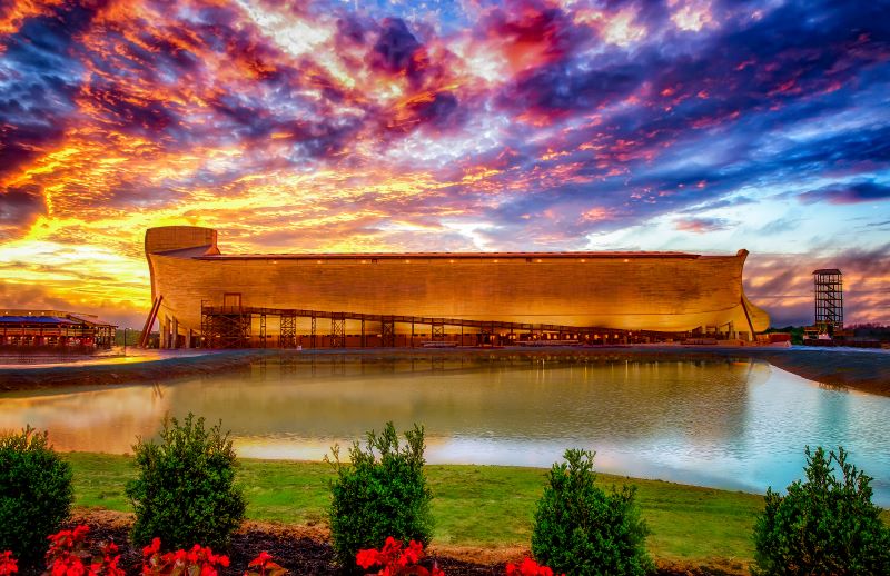 Awakening at the Ark