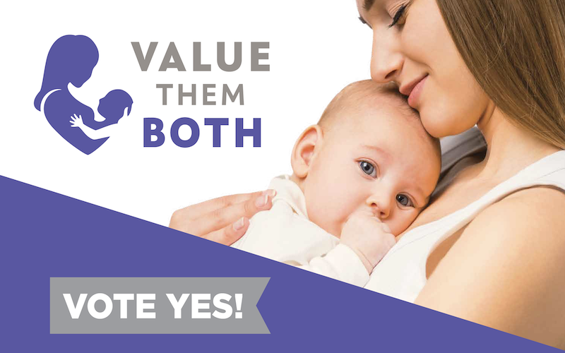 AFA.net - Vote YES On Kansas 'Value Them Both' Pro-life Amendment