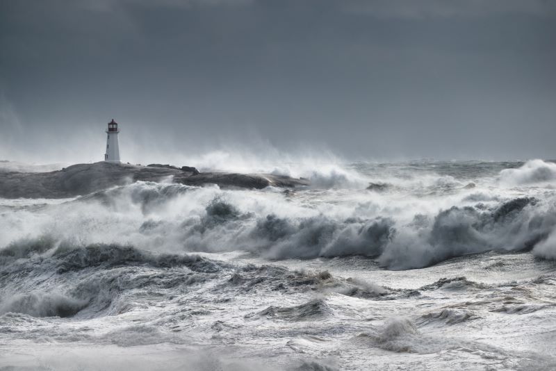 Resting in the Storm